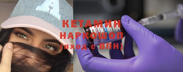шишки Арсеньев