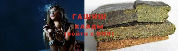 шишки Арсеньев