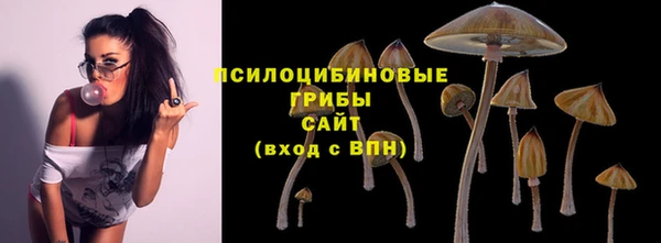 шишки Арсеньев