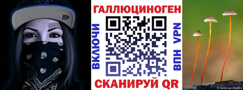 Галлюциногенные грибы Cubensis  Феодосия 